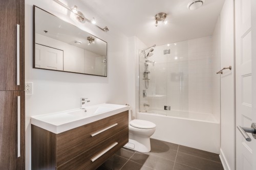 Bathroom - 1314-190 Rue Murray, Montréal (Le Sud-Ouest), QC - Indoor Photo Showing Bathroom