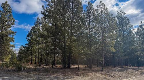 100 Shadow Mountain Boulevard, Cranbrook, BC - Outdoor With View