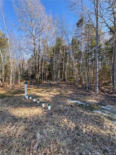 225 Waterville Rd, Waterville, NB 