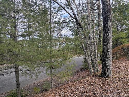 3837 Route 122, Fosterville, NB 
