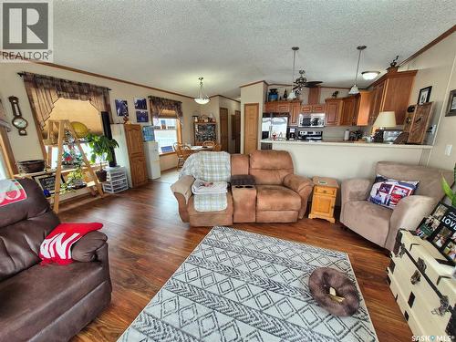 4425 Access Road, Halbrite, SK - Indoor Photo Showing Living Room