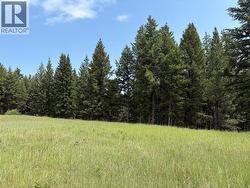 lot 1 Copper Creek Rd Road Kamloops, BC V0K 2J0