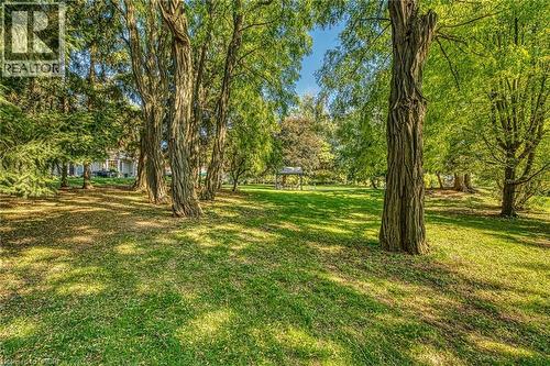 View of green lawn featuring view of wooded area - 5590 Blind Line, Burlington, ON - Outdoor With View