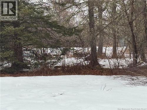 0 Route 127, Bayside, NB 
