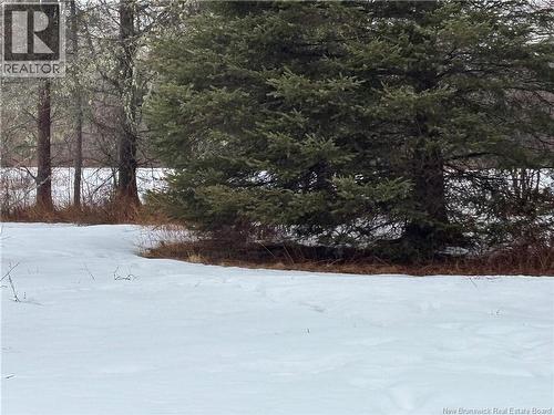 0 Route 127, Bayside, NB 
