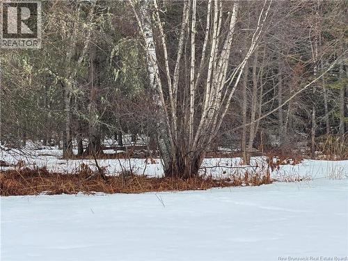 0 Route 127, Bayside, NB 