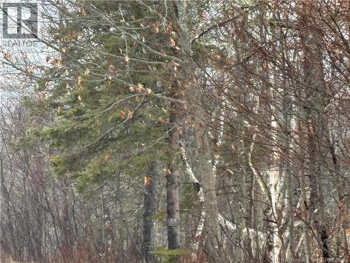 0 Route 127, Bayside, NB 