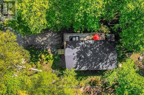 2 Belle Vue Avenue, Tiny, ON - Outdoor