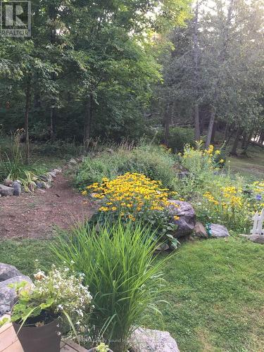 6 West Point Drive, Mckellar, ON - Outdoor