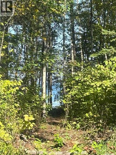 2 Canoe Road, Cole Bay, SK 