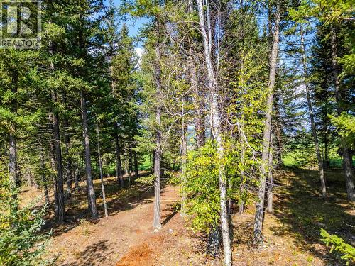6355 Bates Road, Forest Grove, BC 