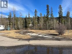 221 STEEPROCK CLOSE Tumbler Ridge, BC V0C 2W0