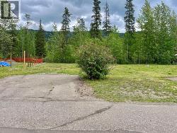 221 STEEPROCK CLOSE Tumbler Ridge, BC V0C 2W0