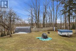YARD - 
