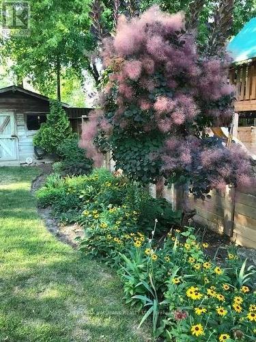 8 Glenvale Boulevard, Toronto, ON - Outdoor