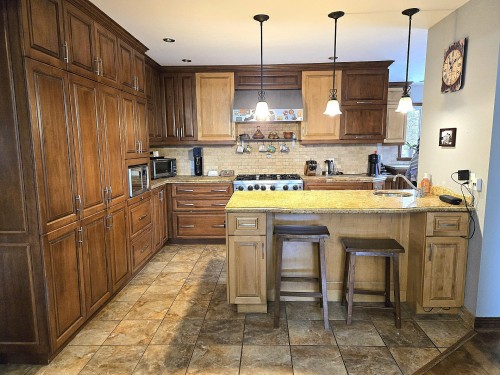 Cuisine - 1004 Av. Suzanne, Laval (Saint-Vincent-De-Paul), QC - Indoor Photo Showing Kitchen