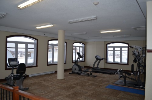 Salle d'exercice - 503-6550 Boul. Henri-Bourassa O., Montréal (Saint-Laurent), QC - Indoor Photo Showing Gym Room