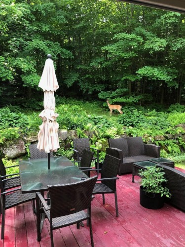Terrasse - 1591 Rue Charlebois, Prévost, QC - Outdoor
