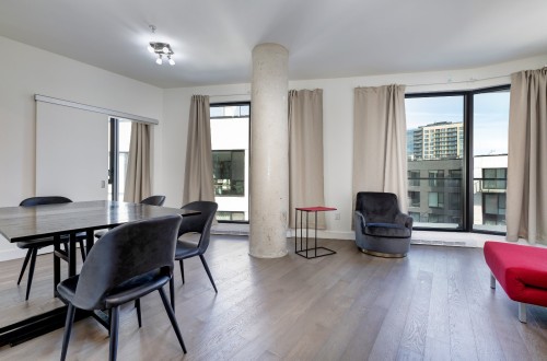 Vue d'ensemble - 801-1552 Rue Des Bassins, Montréal (Le Sud-Ouest), QC - Indoor