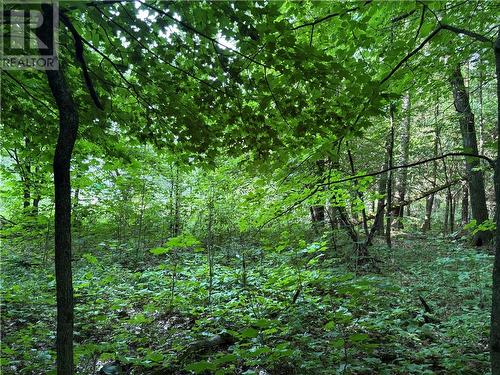 00 Lansdowne Channel, Killarney, ON 