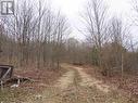 Lot 6 Hilton Rd, Jocelyn Township, ON 