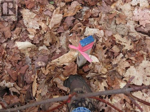 Lot 6 Hilton Rd, Jocelyn Township, ON 