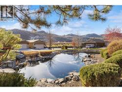 Pond in complex - 