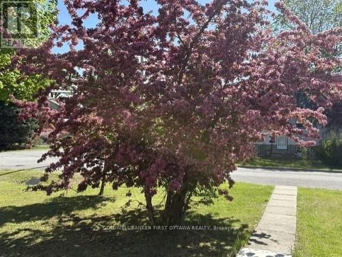 185 Compton Avenue, Ottawa, ON 