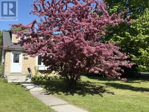 185 Compton Avenue, Ottawa, ON 