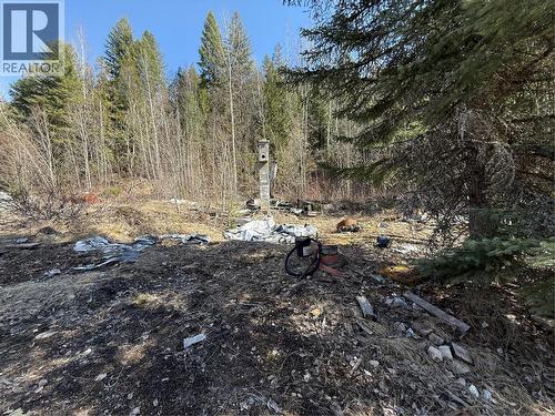Vector Road Lot# 5, Salmo, BC 