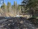 Vector Road Lot# 5, Salmo, BC 