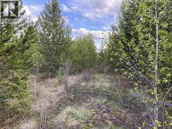 BLK C 94 MILE FRONTAGE ROAD 100 Mile House, BC V0K 2E2