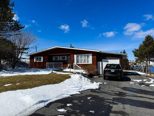 100 Bareneed Road, Bareneed, NL 