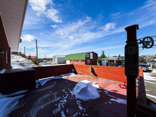 100 Bareneed Road, Bareneed, NL 