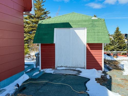 100 Bareneed Road, Bareneed, NL 