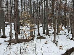 0 TALLY HO WINTER PARK ROAD Lake Of Bays (Sinclair), ON P1H 2J3