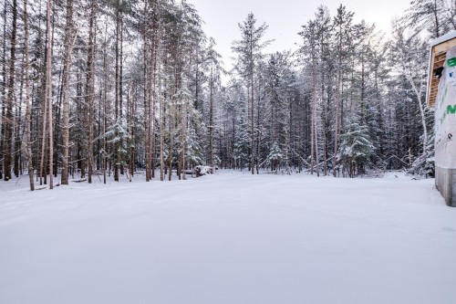 Cour - 15 Ch. Du Sous-Bois, Bowman, QC - Outdoor With View