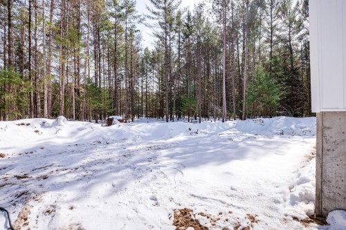 Cour - 15 Ch. Du Sous-Bois, Bowman, QC - Outdoor With View