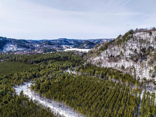 Vue d'ensemble - 15 Ch. Du Sous-Bois, Bowman, QC - Outdoor With View