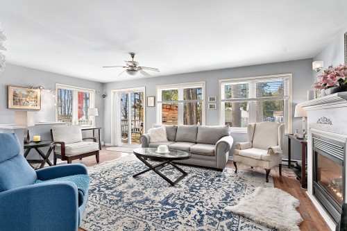 Salon - 38 Ch. De Pine Lodge, Bristol, QC - Indoor Photo Showing Living Room With Fireplace