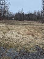 58 WALT STREET Brighton, ON K0K 1H0