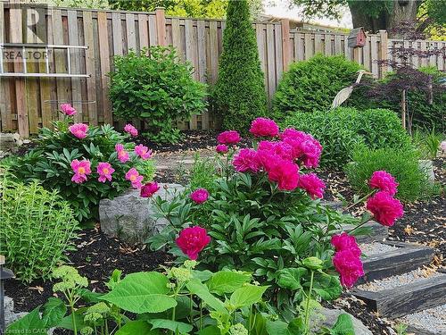 34 Leslie Avenue, Cambridge, ON - Outdoor