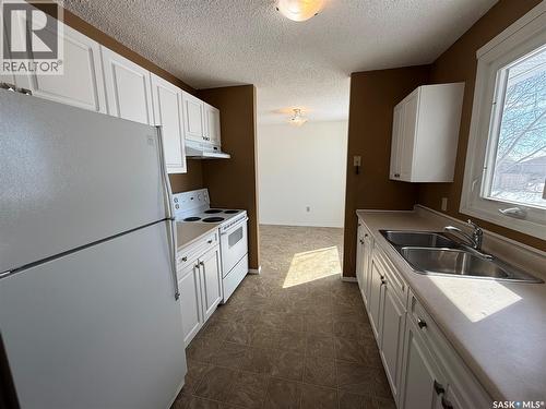 970 Larson Crescent, Eston, SK - Indoor Photo Showing Kitchen With Double Sink