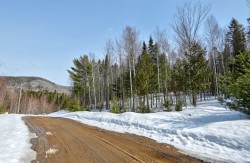 Rue Latour Sainte-Béatrix, QC J0K 1Y0