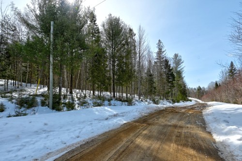 Vue d'ensemble - Rue Latour, Sainte-Béatrix, QC 