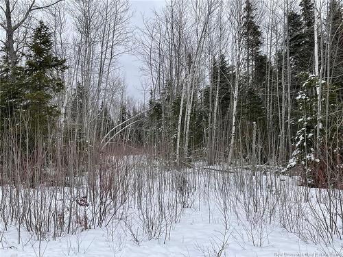 - Oldfield Rd, Bartibog, NB 