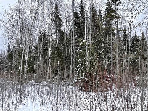 - Oldfield Rd, Bartibog, NB 