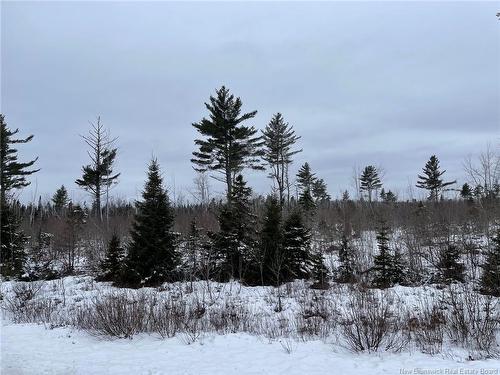 - Oldfield Rd, Bartibog, NB 