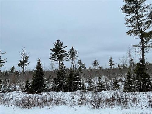 - Oldfield Rd, Bartibog, NB 