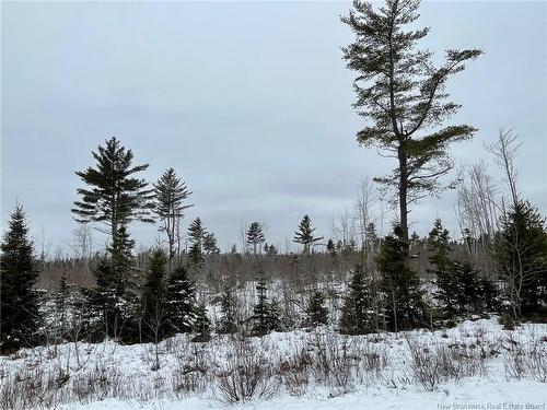 - Oldfield Rd, Bartibog, NB 
